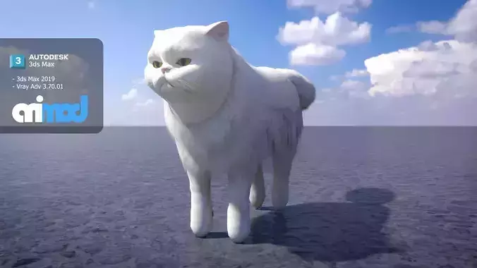 Persian Cat