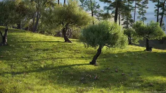 Maxtree Plant Models Vol 155 - Mesh