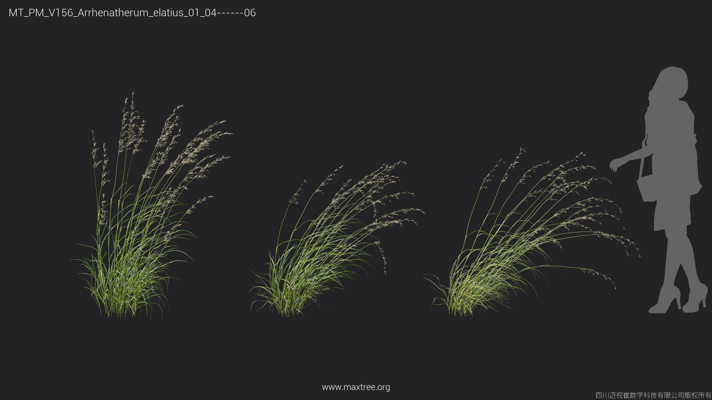 Maxtree Plant Models Vol 156 - Mesh 3D model_8