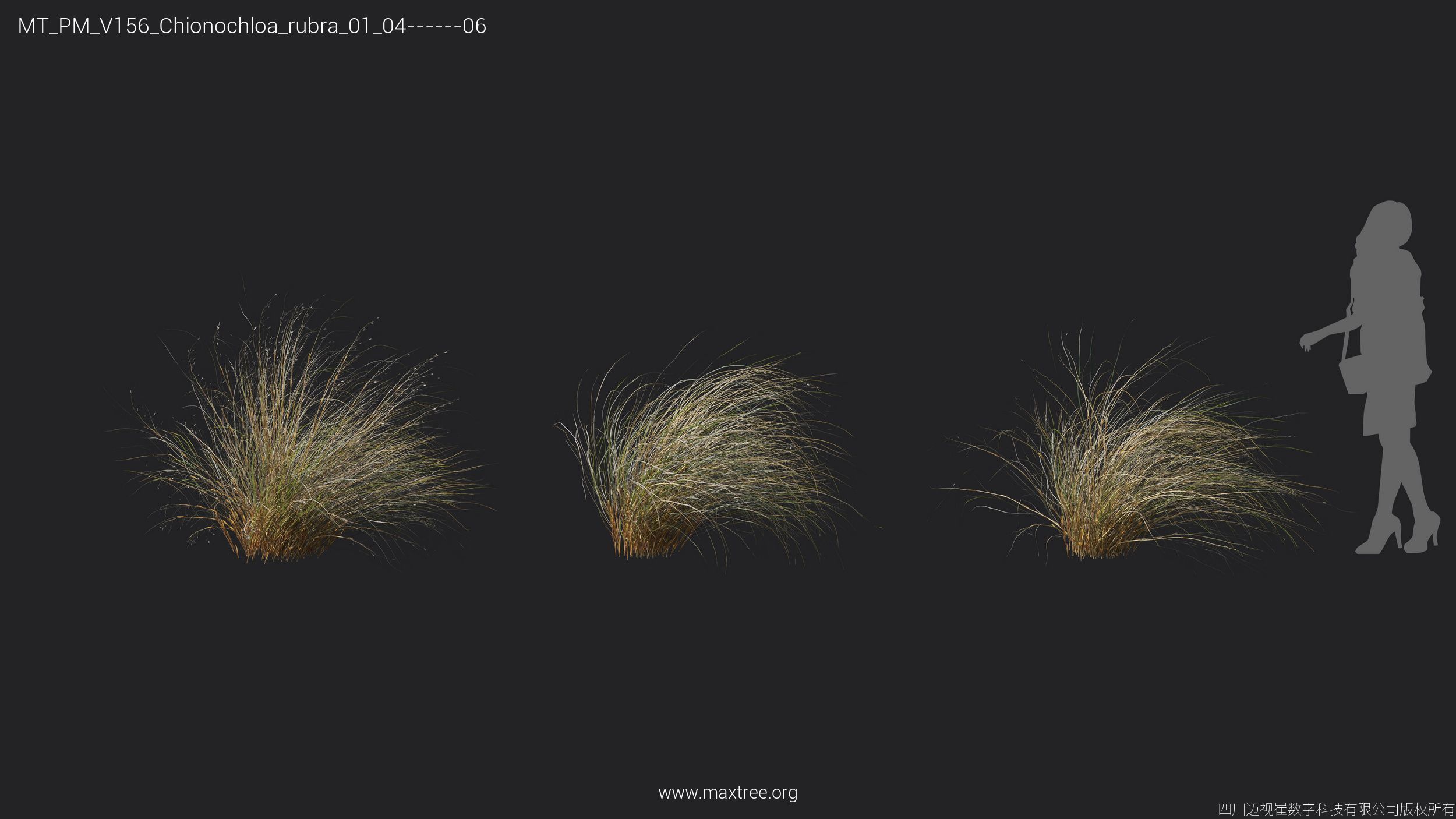 Maxtree Plant Models Vol 156 - Mesh 3D model_20
