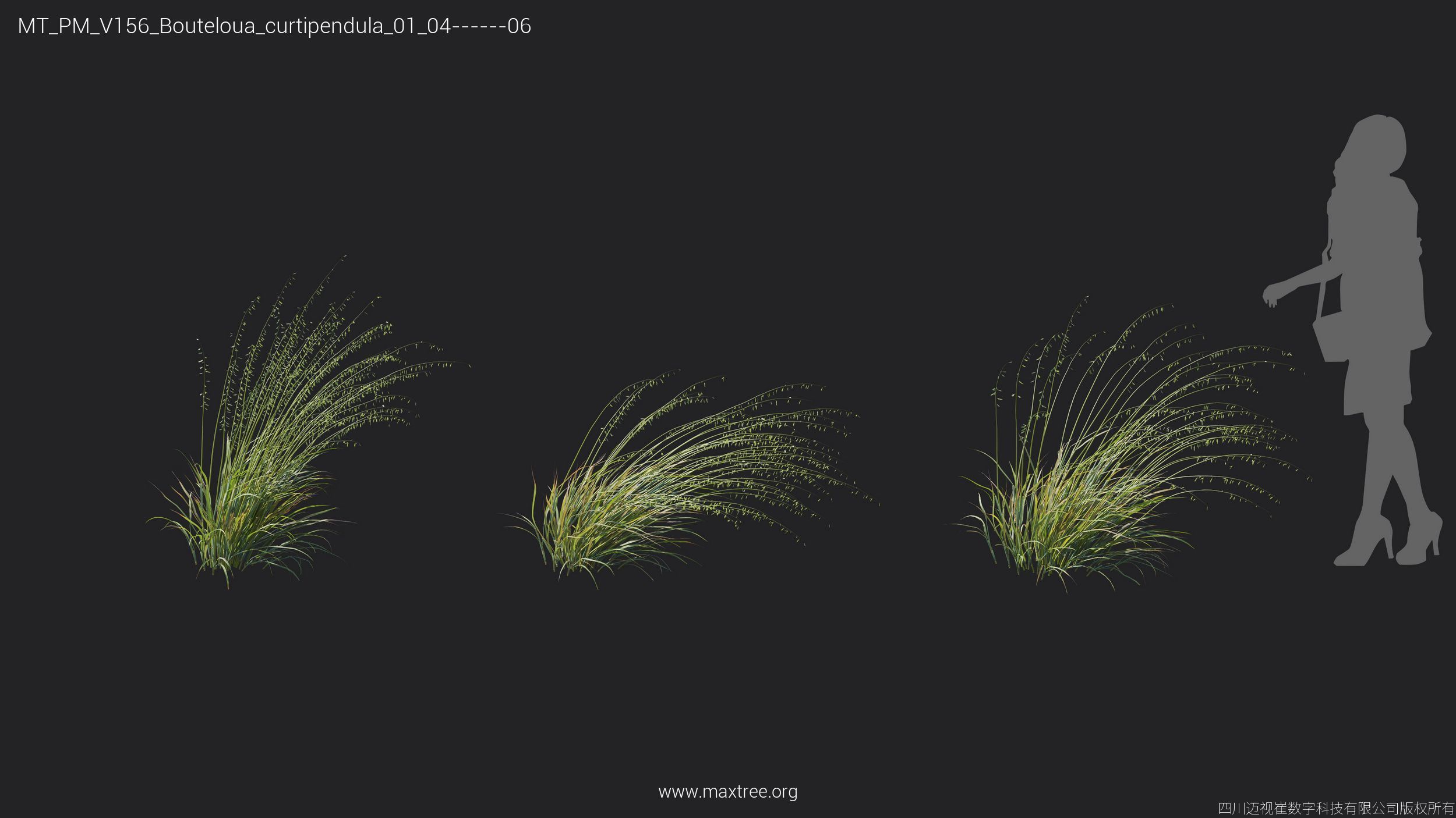 Maxtree Plant Models Vol 156 - Mesh 3D model_10