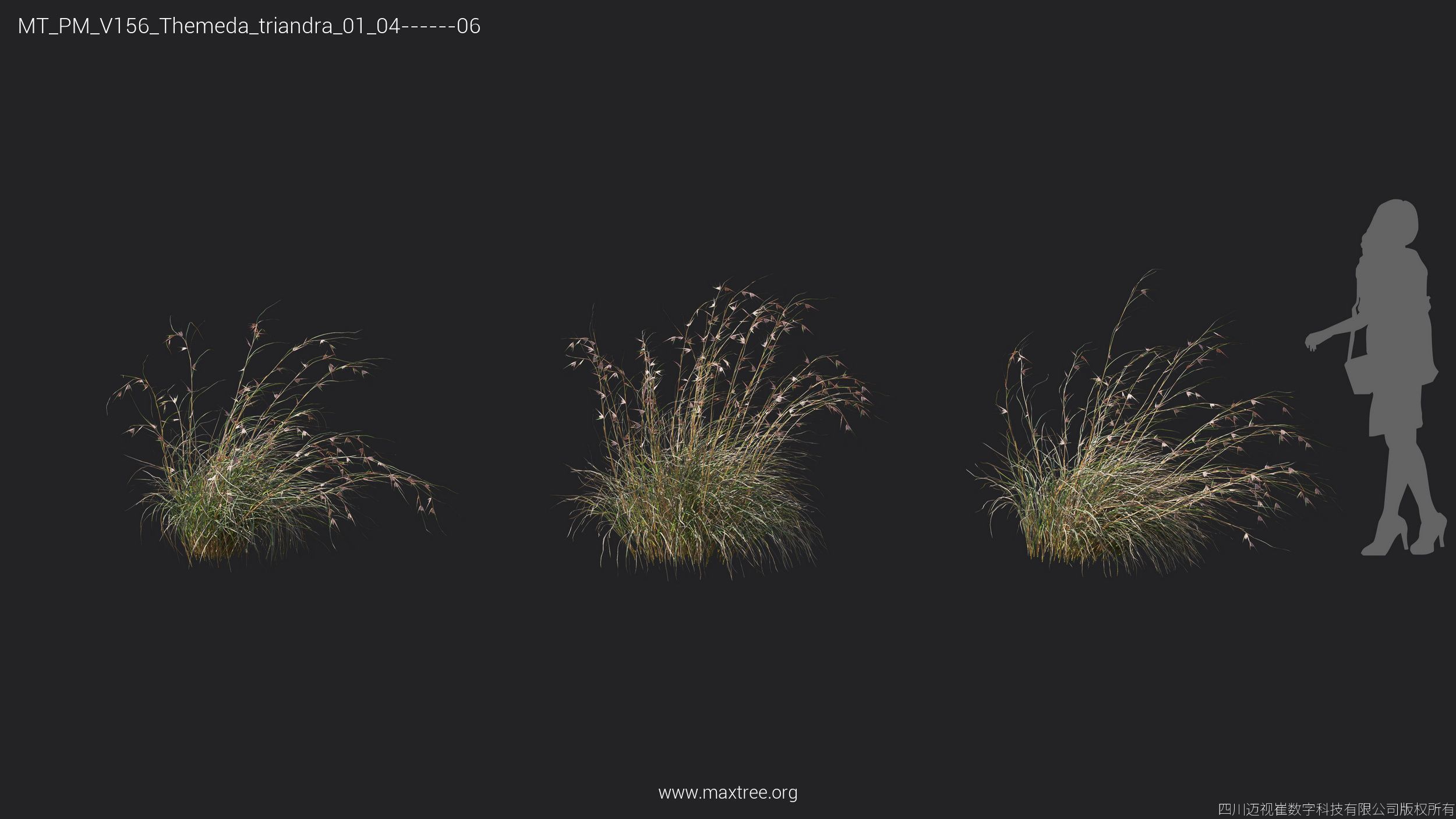 Maxtree Plant Models Vol 156 - Mesh 3D model_30