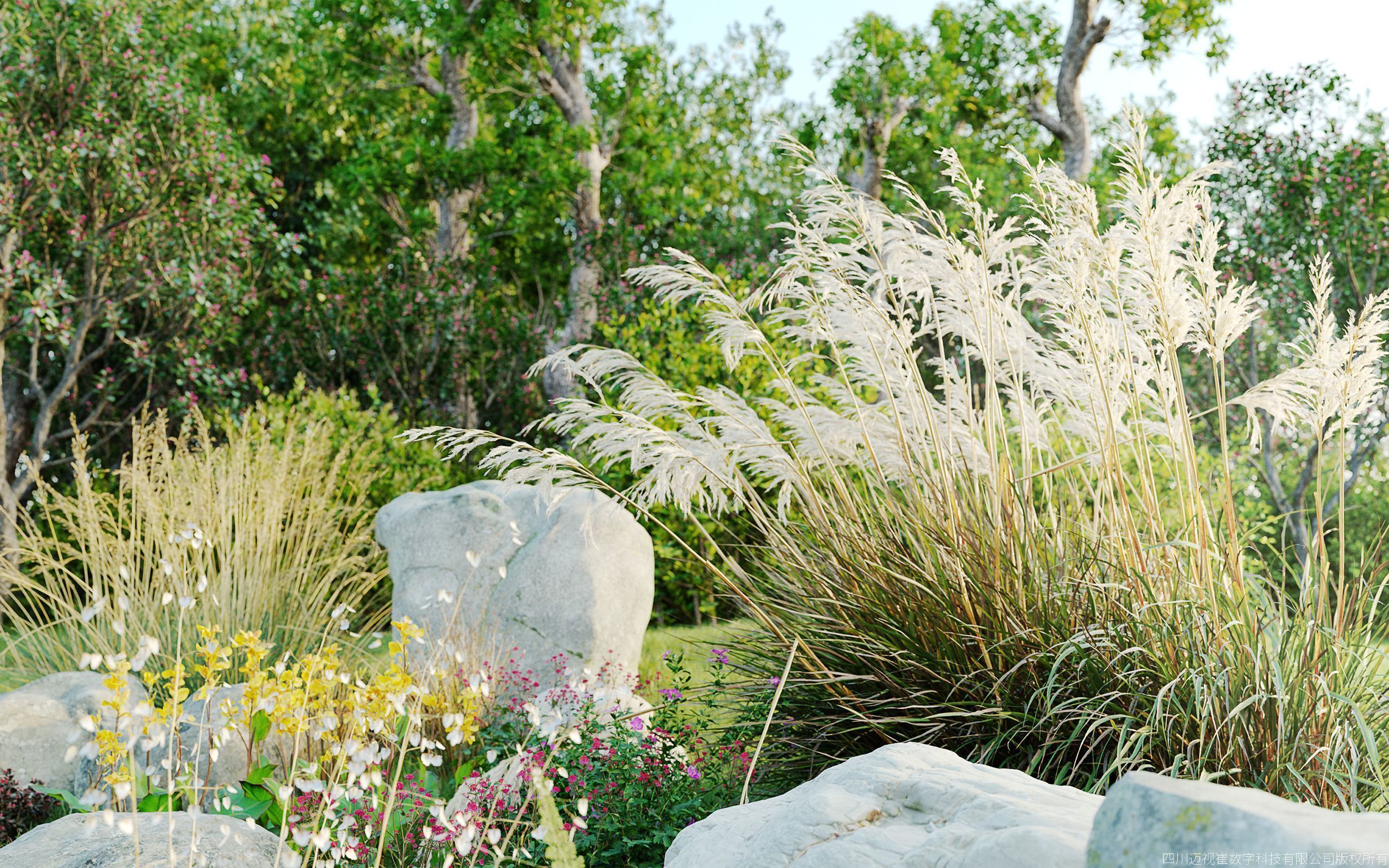 Maxtree Plant Models Vol 156 - Mesh 3D model_1