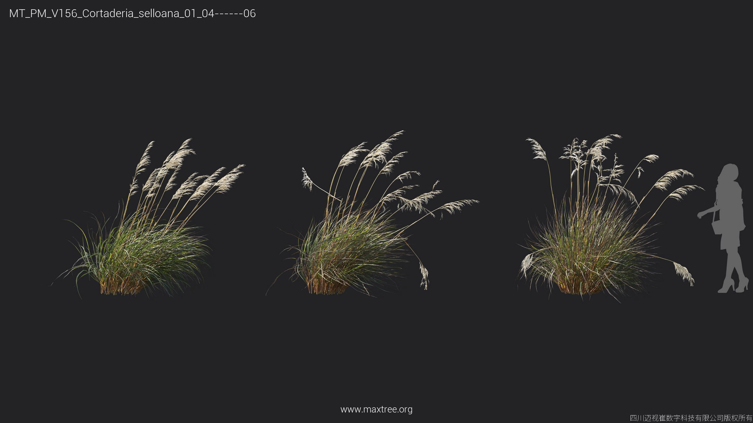 Maxtree Plant Models Vol 156 - Mesh 3D model_22