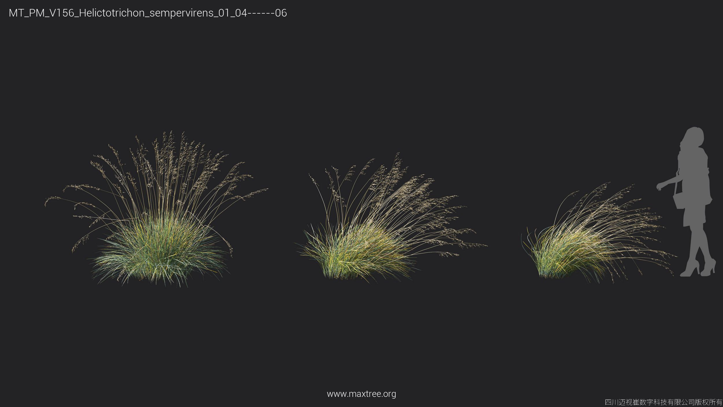 Maxtree Plant Models Vol 156 - Mesh 3D model_28