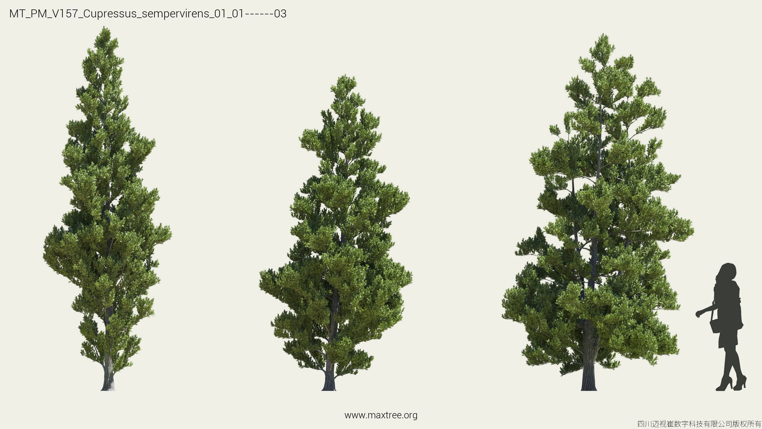 Maxtree Plant Models Vol 157 - Mesh 3D model_7