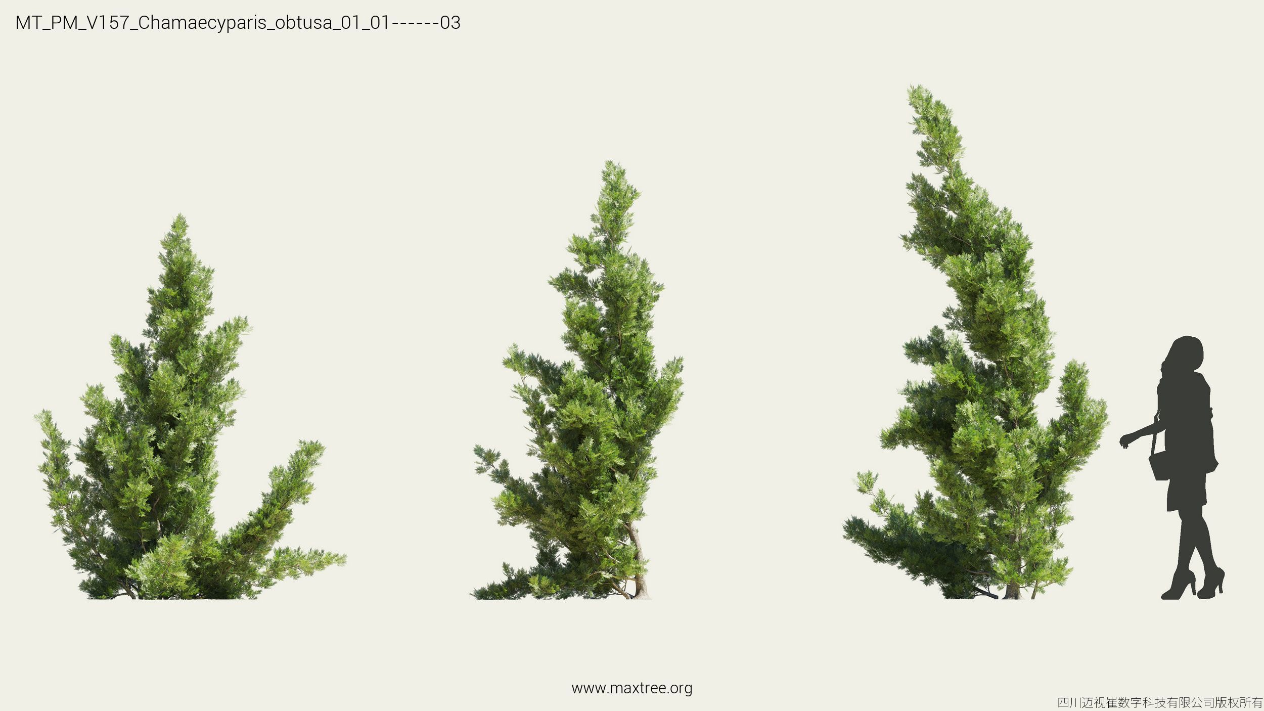 Maxtree Plant Models Vol 157 - Mesh 3D model_9