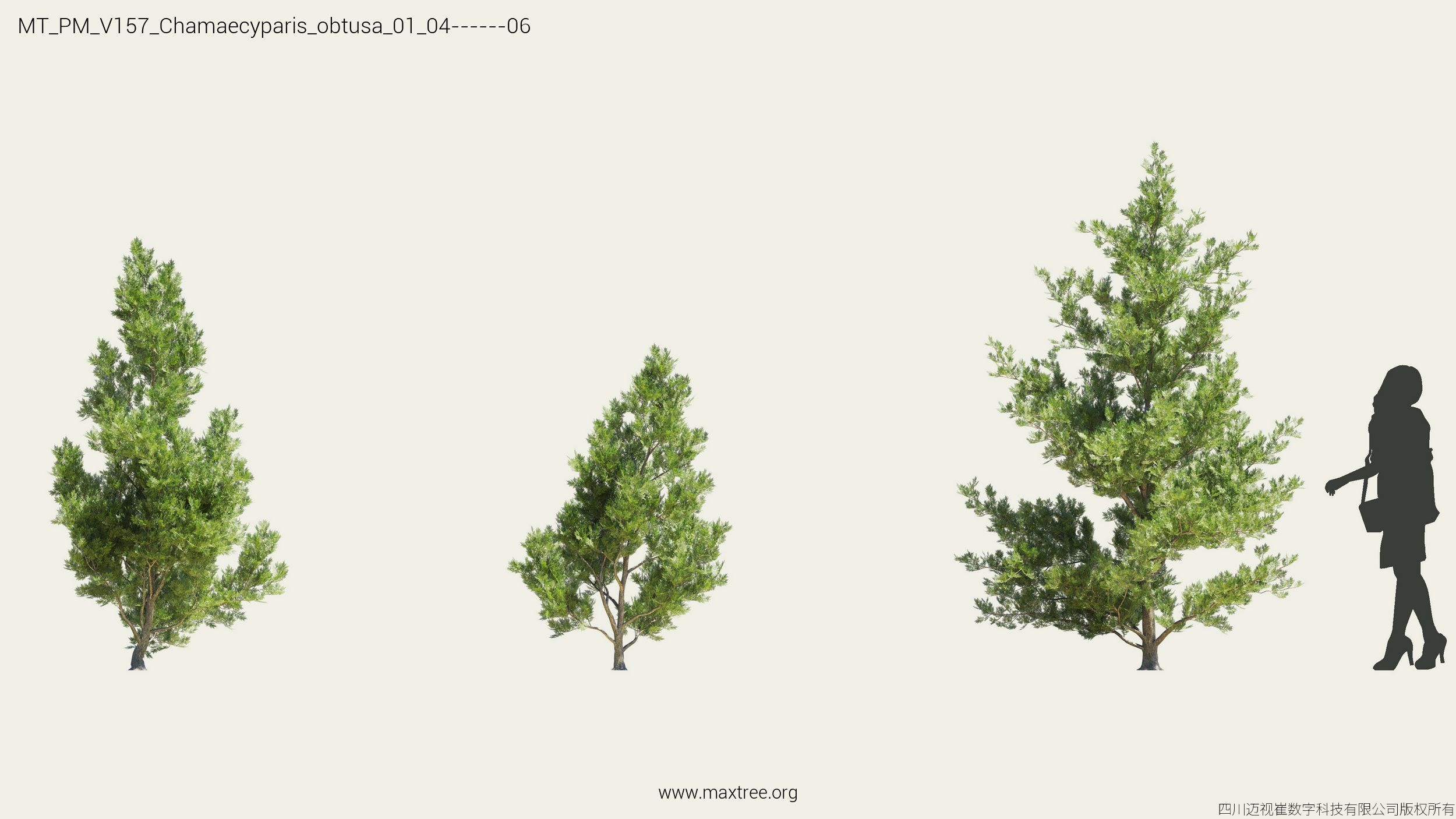 Maxtree Plant Models Vol 157 - Mesh 3D model_10
