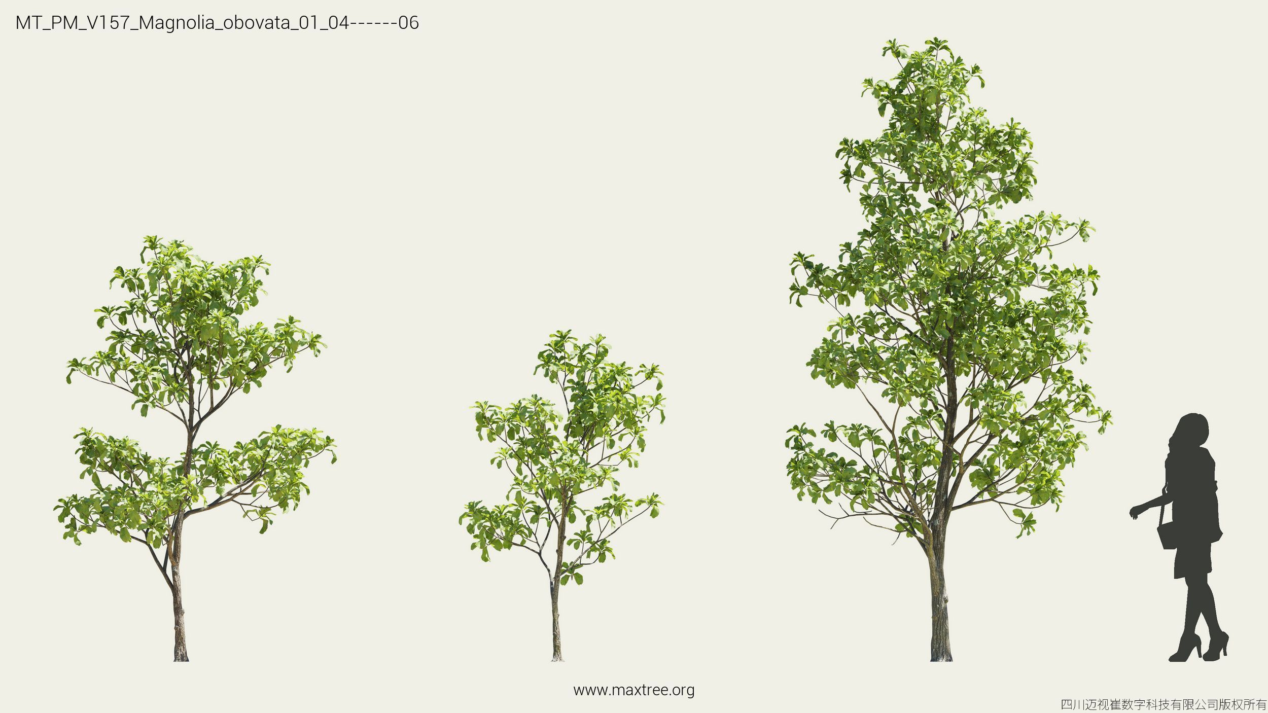 Maxtree Plant Models Vol 157 - Mesh 3D model_14