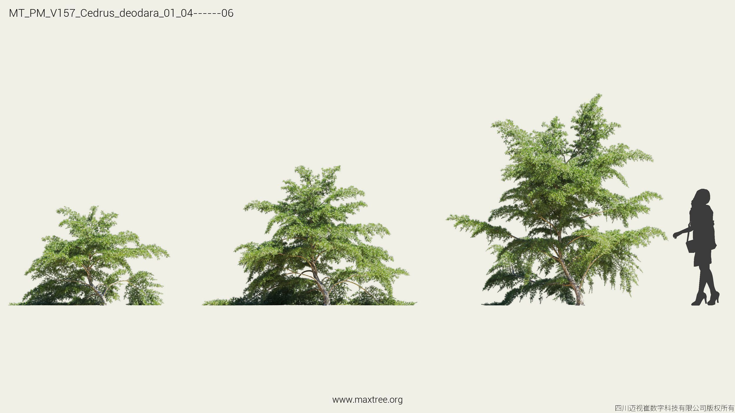 Maxtree Plant Models Vol 157 - Mesh 3D model_6