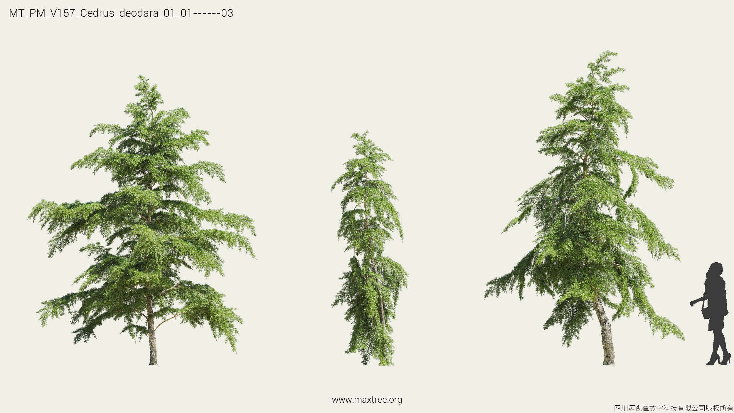 Maxtree Plant Models Vol 157 - Mesh 3D model_8
