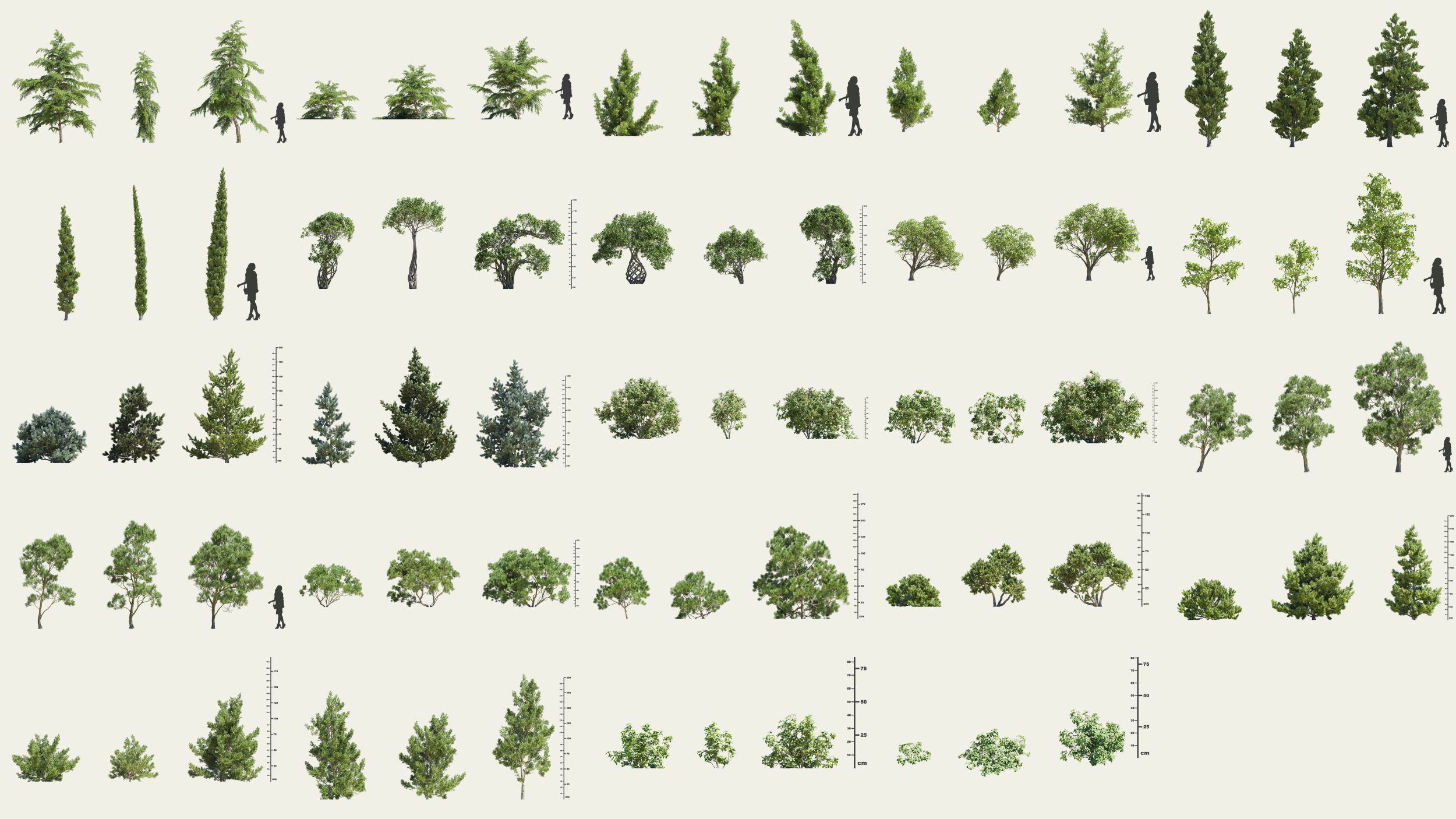 Maxtree Plant Models Vol 157 - Mesh 3D model_4