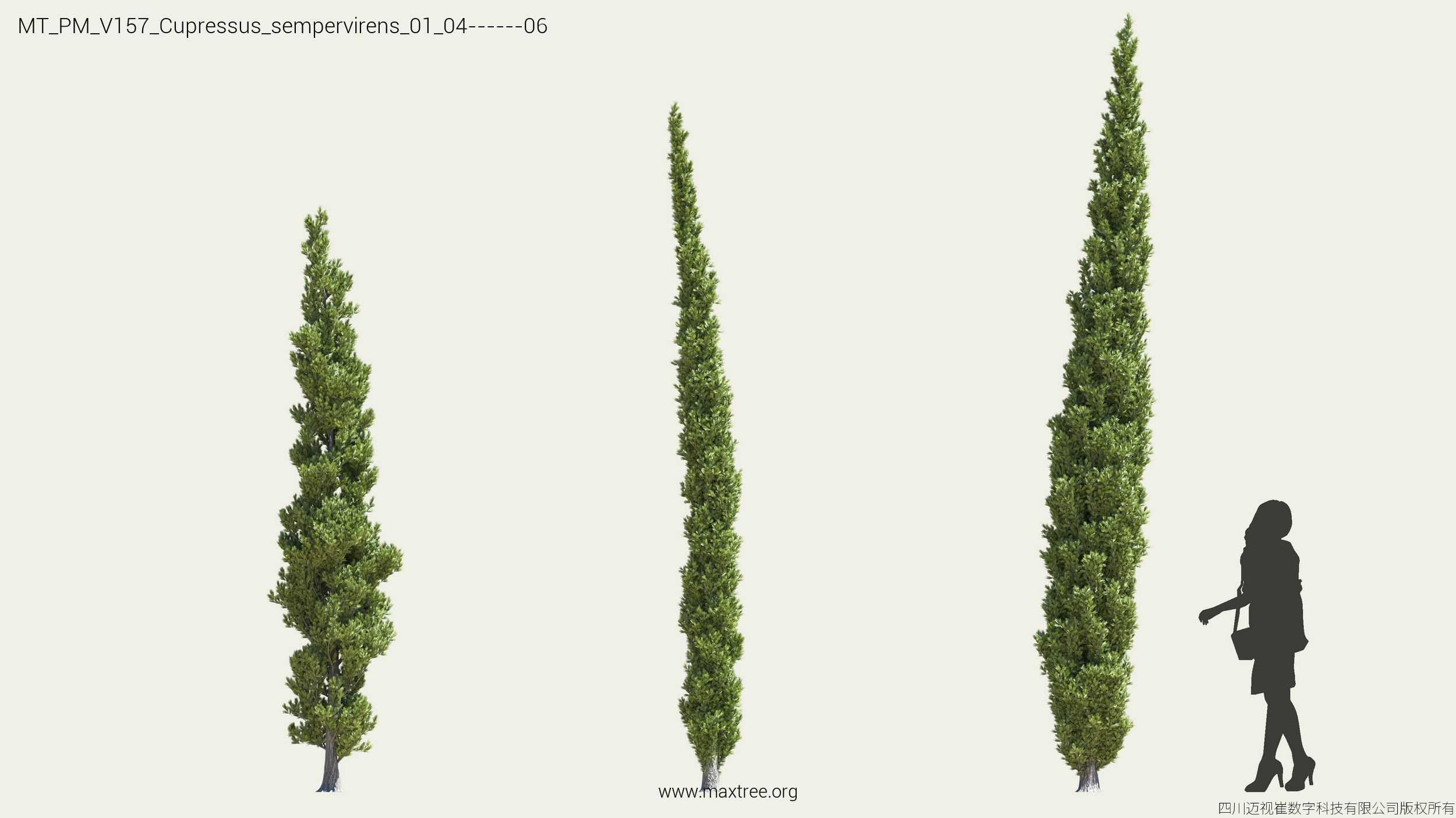 Maxtree Plant Models Vol 157 - Mesh 3D model_5