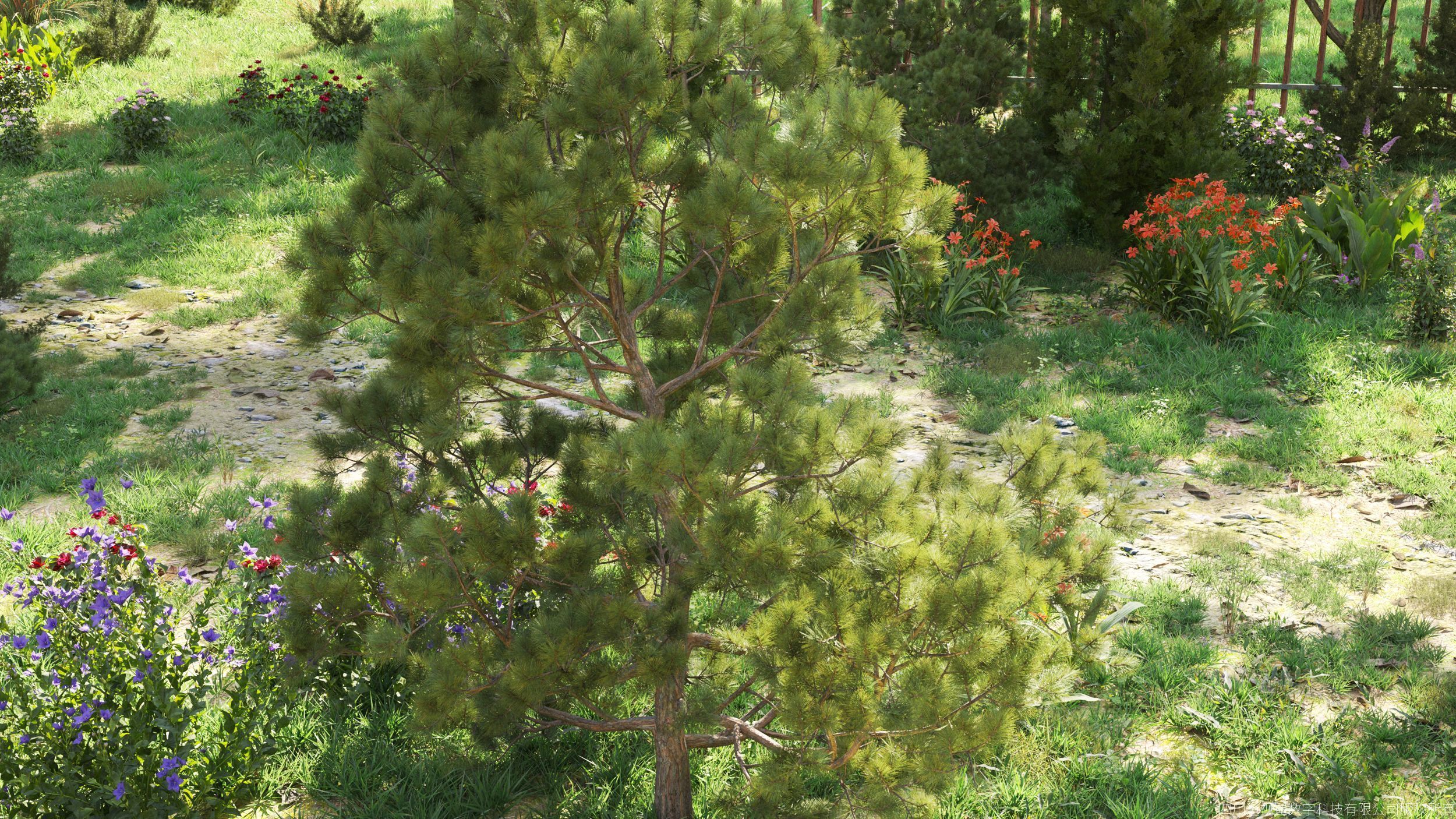 Maxtree Plant Models Vol 157 - Mesh 3D model_2