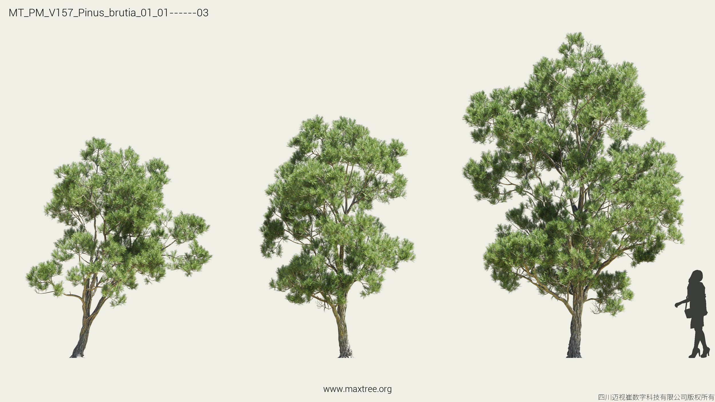 Maxtree Plant Models Vol 157 - Mesh 3D model_20