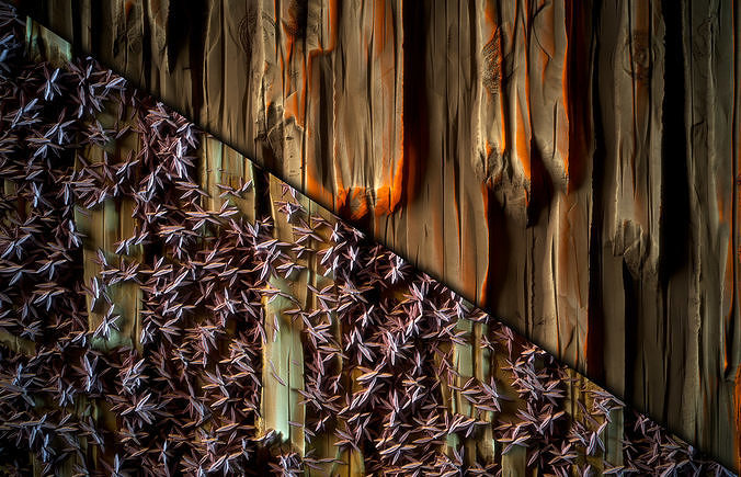 Wood Stylized Material - Vol 06 - SBsar - Maps Texture 7