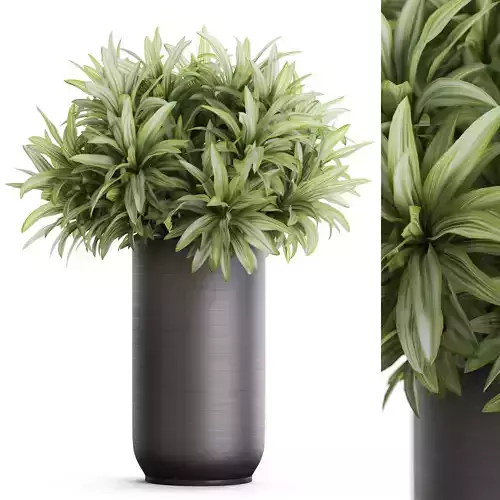 Plants collection 1173