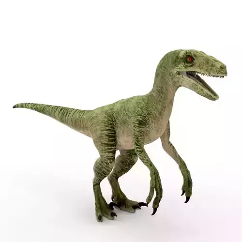 Velociraptor 3D Model 3D model