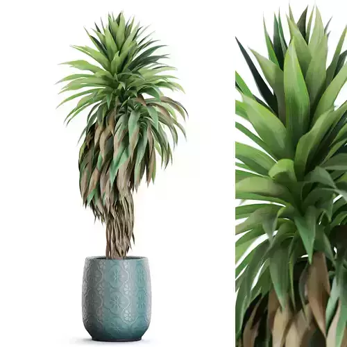 Plants collection 1181 3D model