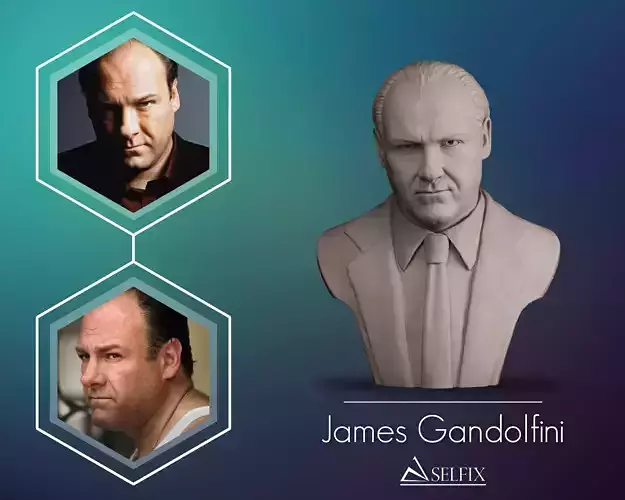 Tony Sopranos Bust 3D print model