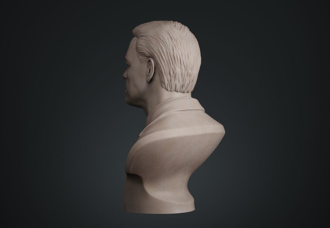 John Cena Bust 3D print model_13