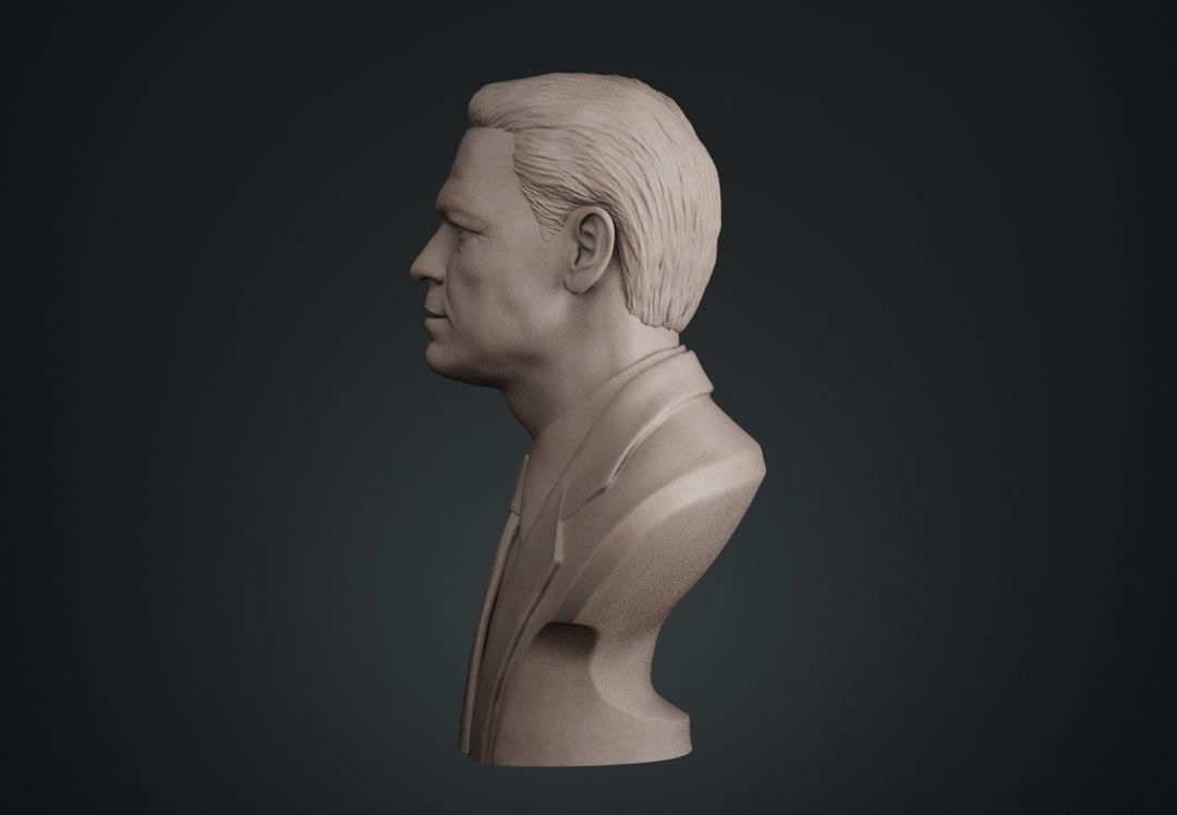 John Cena Bust 3D print model_2