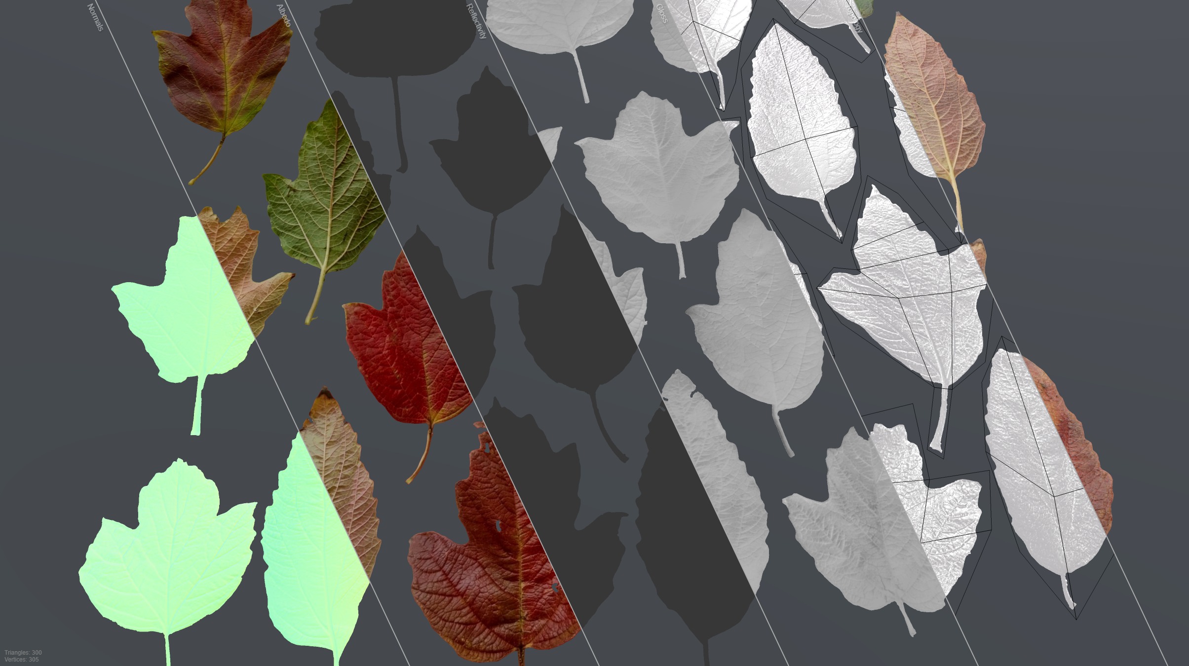 GuelderRose Leaves Leaf Kalyna Viburnum Autumn Fall Low-poly 3D model_12