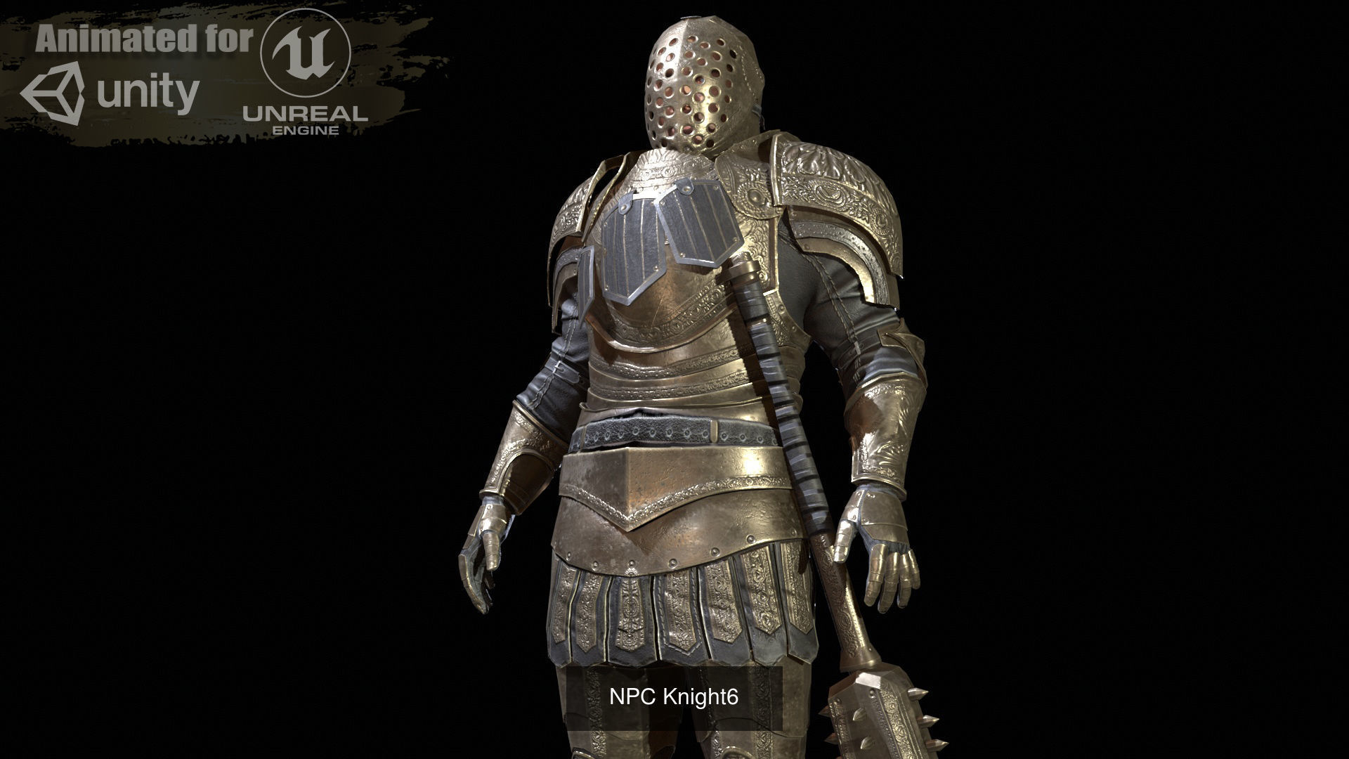 NPC Knight Collections _15