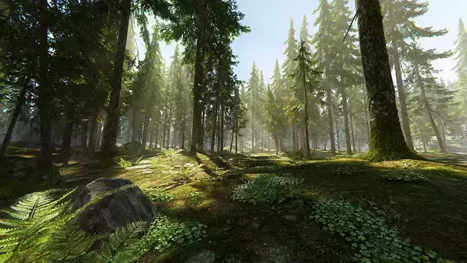 Hazy Hills - Conifer Forest