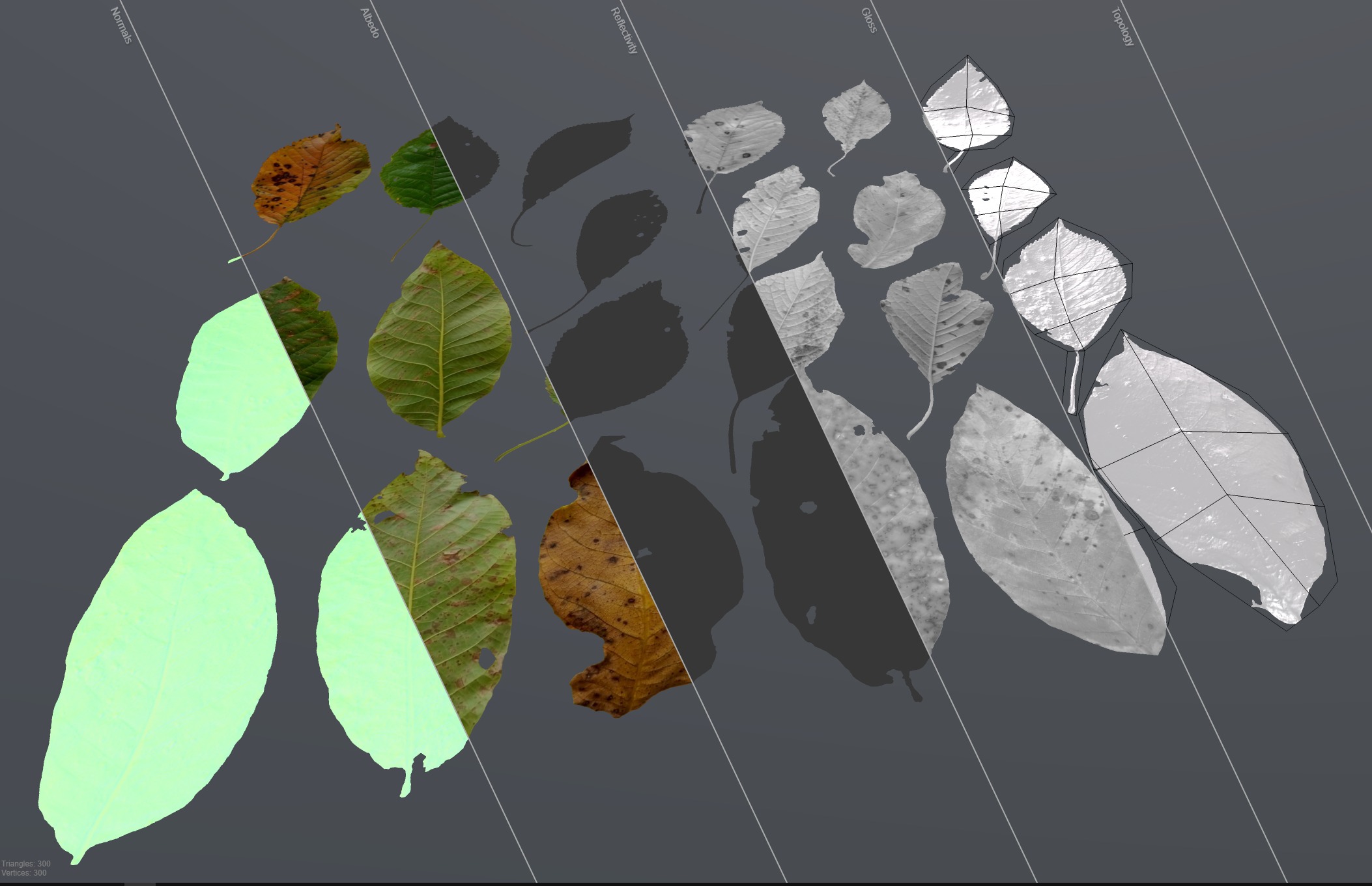 Cherry Leaves Leaf Autumn Fall  Low-poly 3D model_13