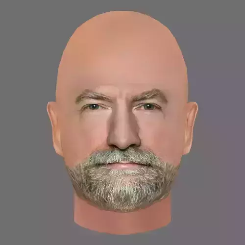 Graham McTavish Head - Low poly head for game