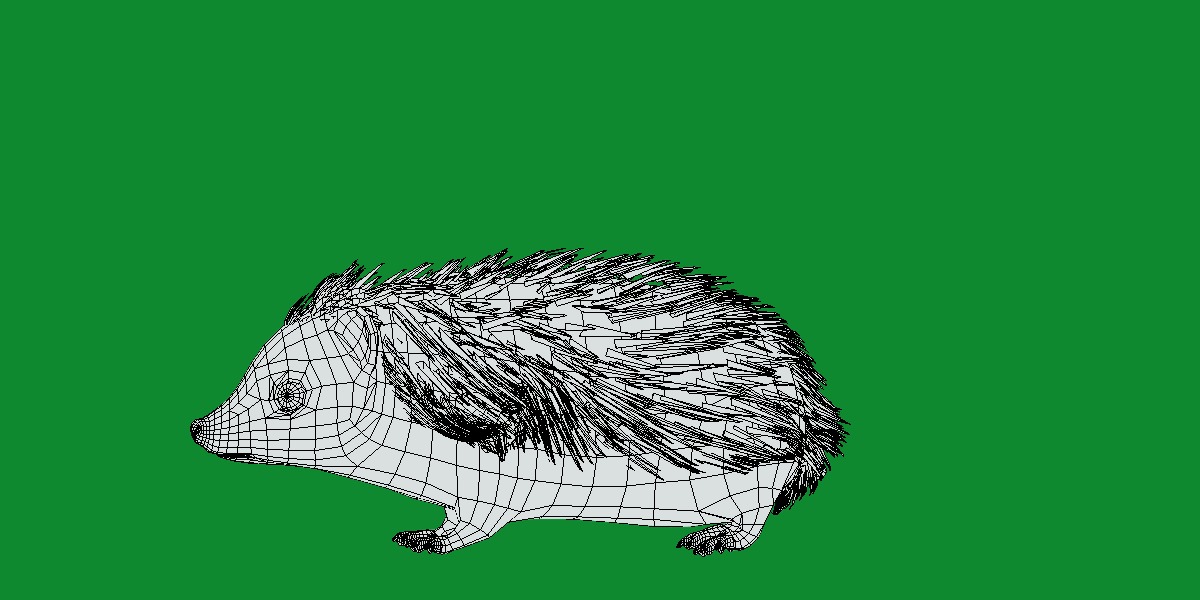 African Pygmy Hedgehog Low-poly 3D model_23