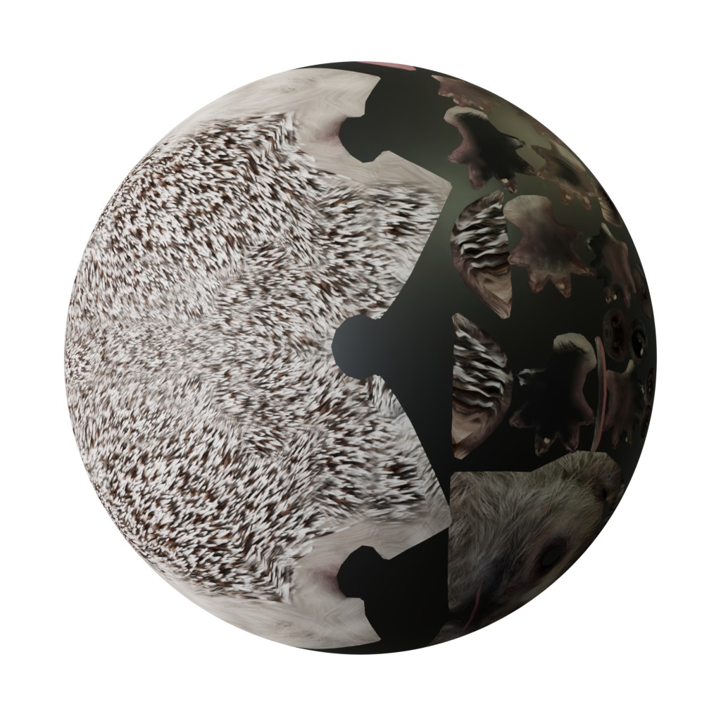 African Pygmy Hedgehog Low-poly 3D model_51