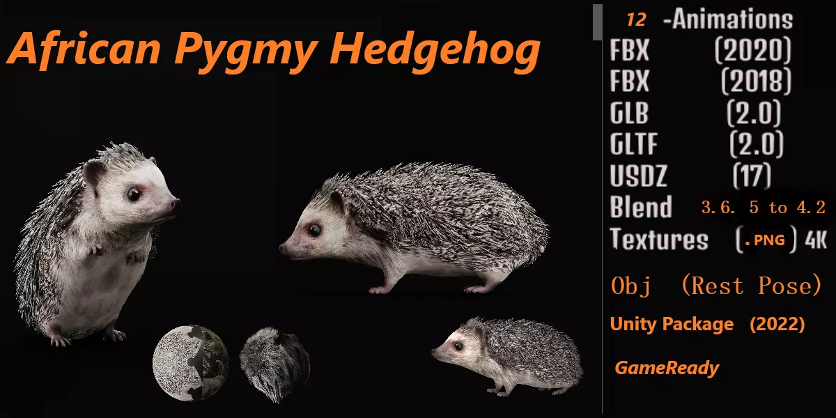 African Pygmy Hedgehog Low-poly 3D model_0