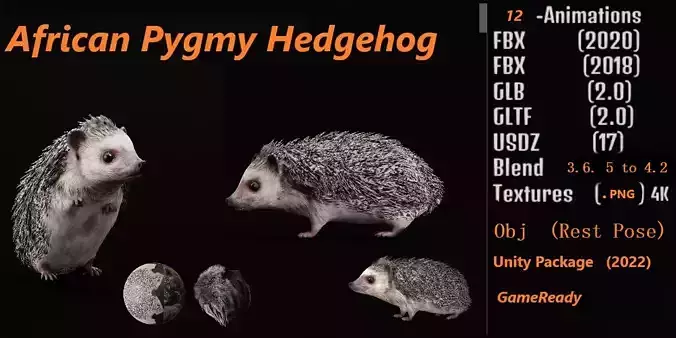 African Pygmy Hedgehog Low-poly 3D model