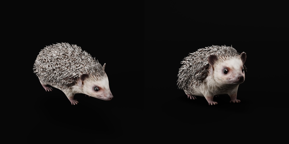 African Pygmy Hedgehog Low-poly 3D model_6