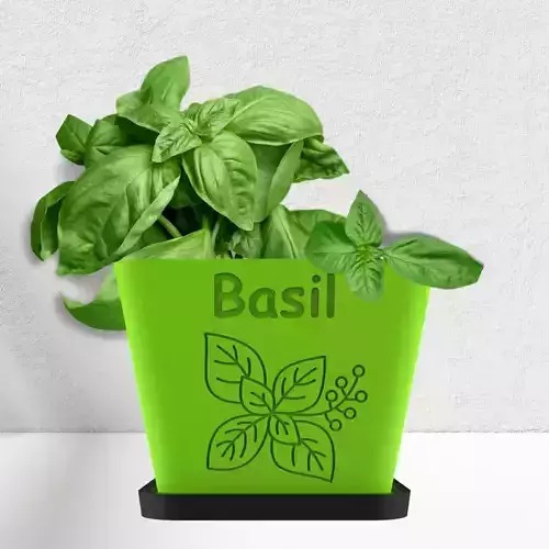 Basil Pot Planter