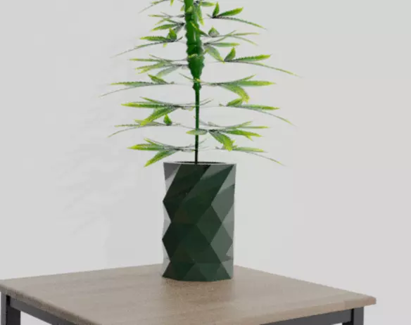 Flower Vase 3D print model_0