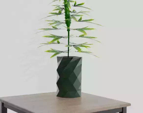Flower Vase