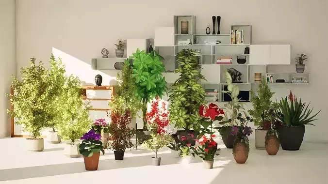 High-Poly Indoor Plants for Realistic Design Low-poly 3D model