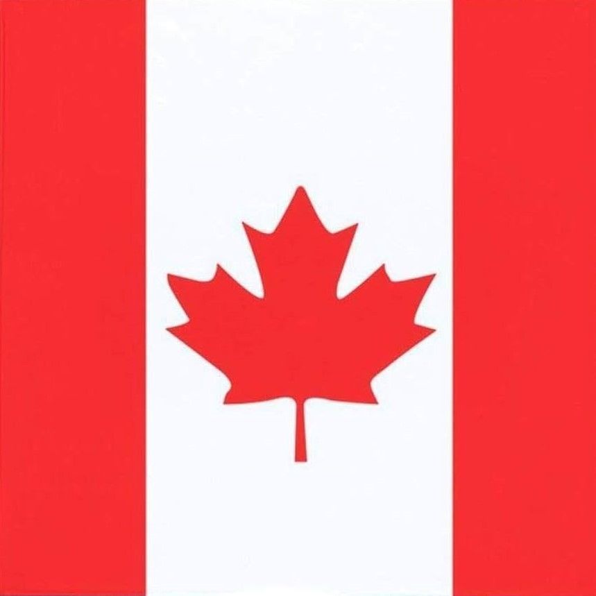 Canada Flag Golden Medal Badge 3D model_25