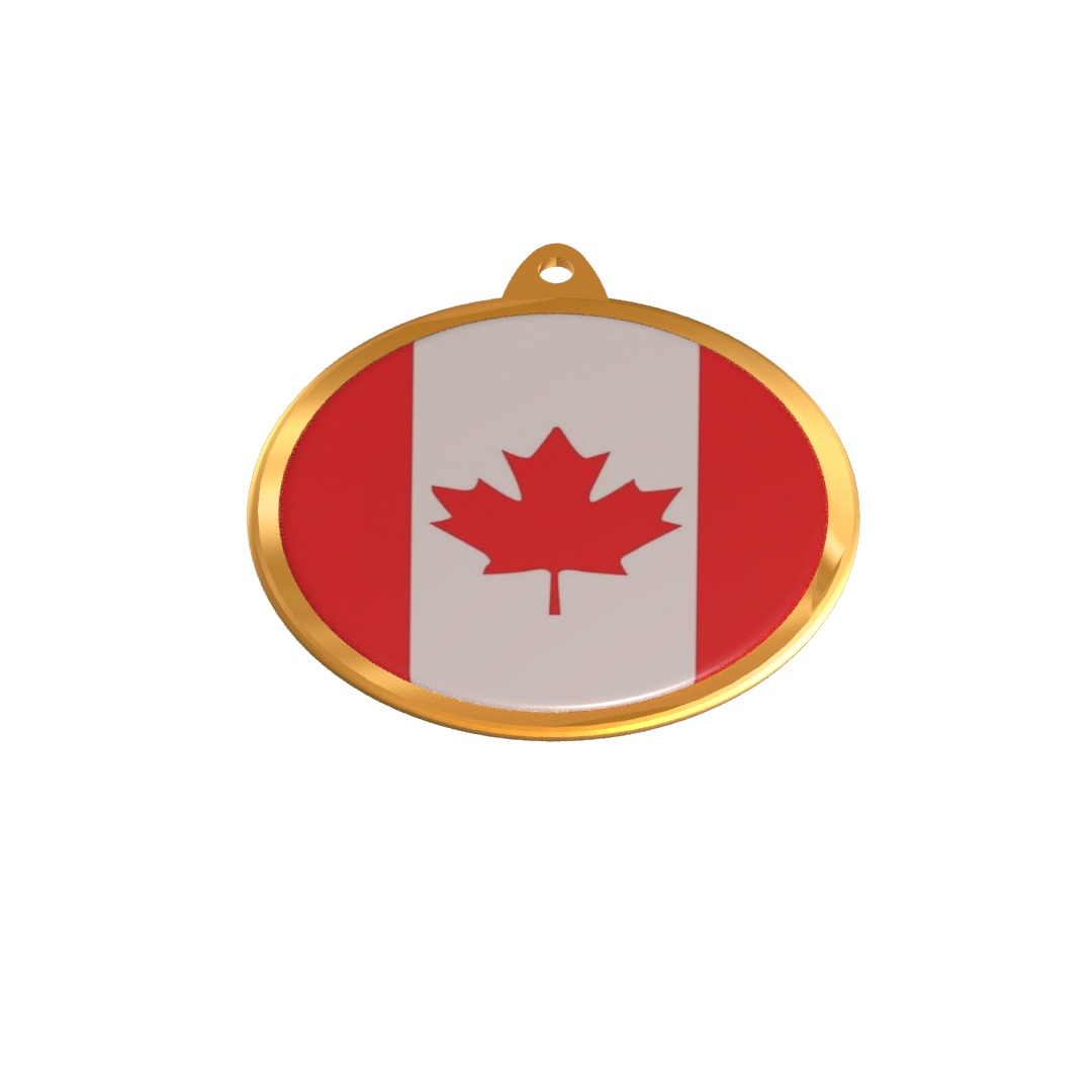 Canada Flag Golden Medal Badge 3D model_11