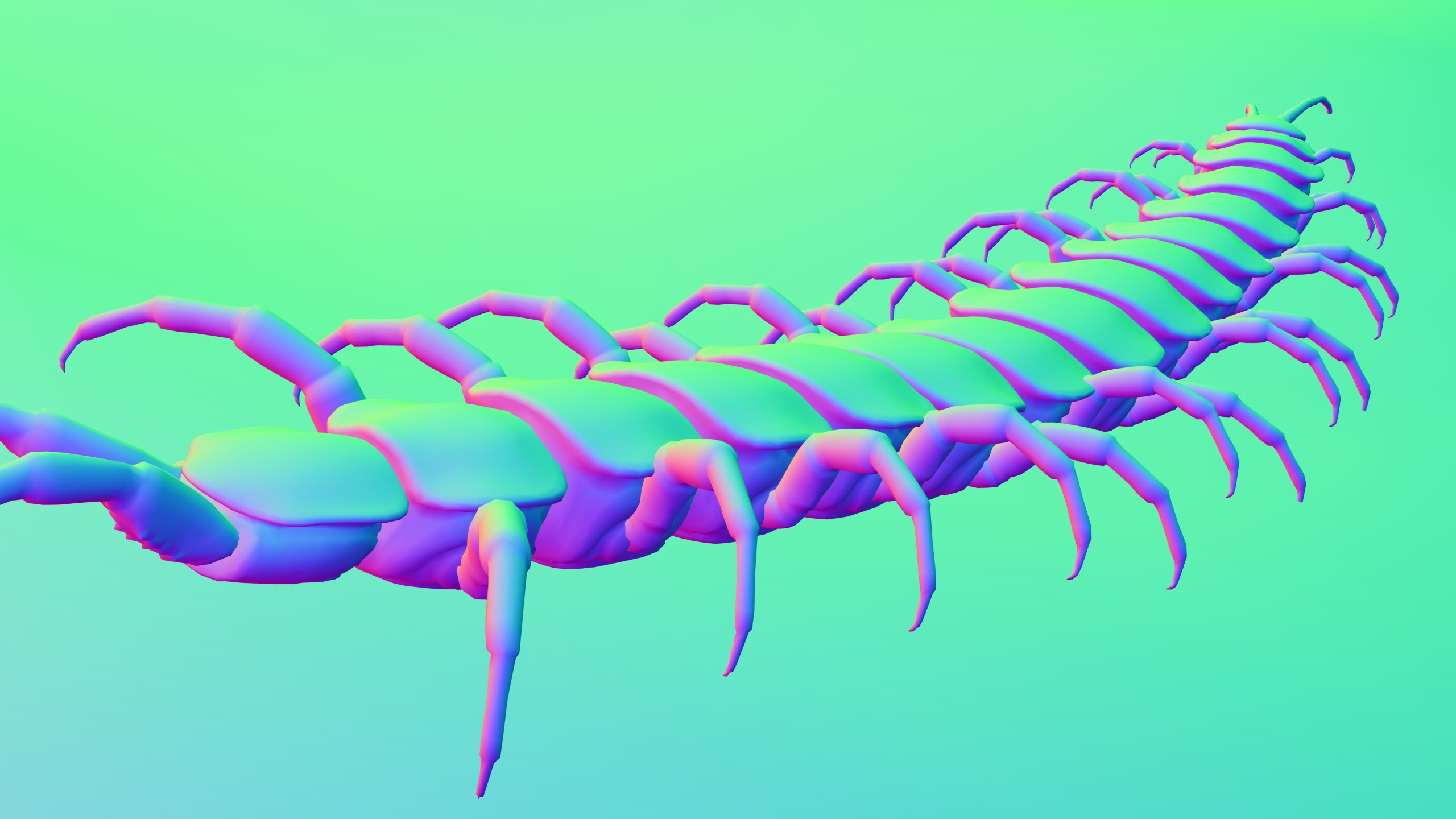 Centipede Rigged animated  Low-poly 3D model_15