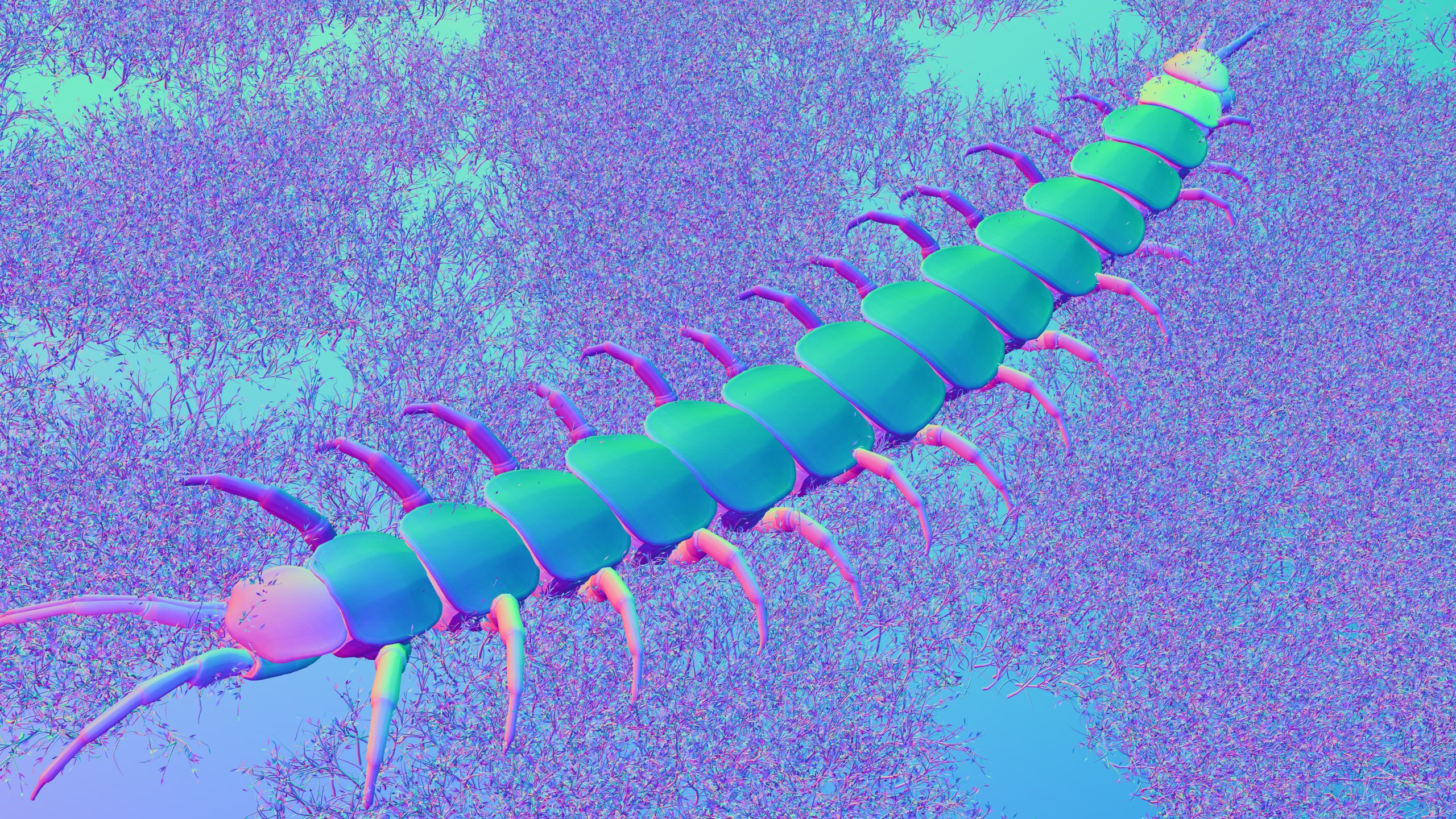 Centipede Rigged animated  Low-poly 3D model_16