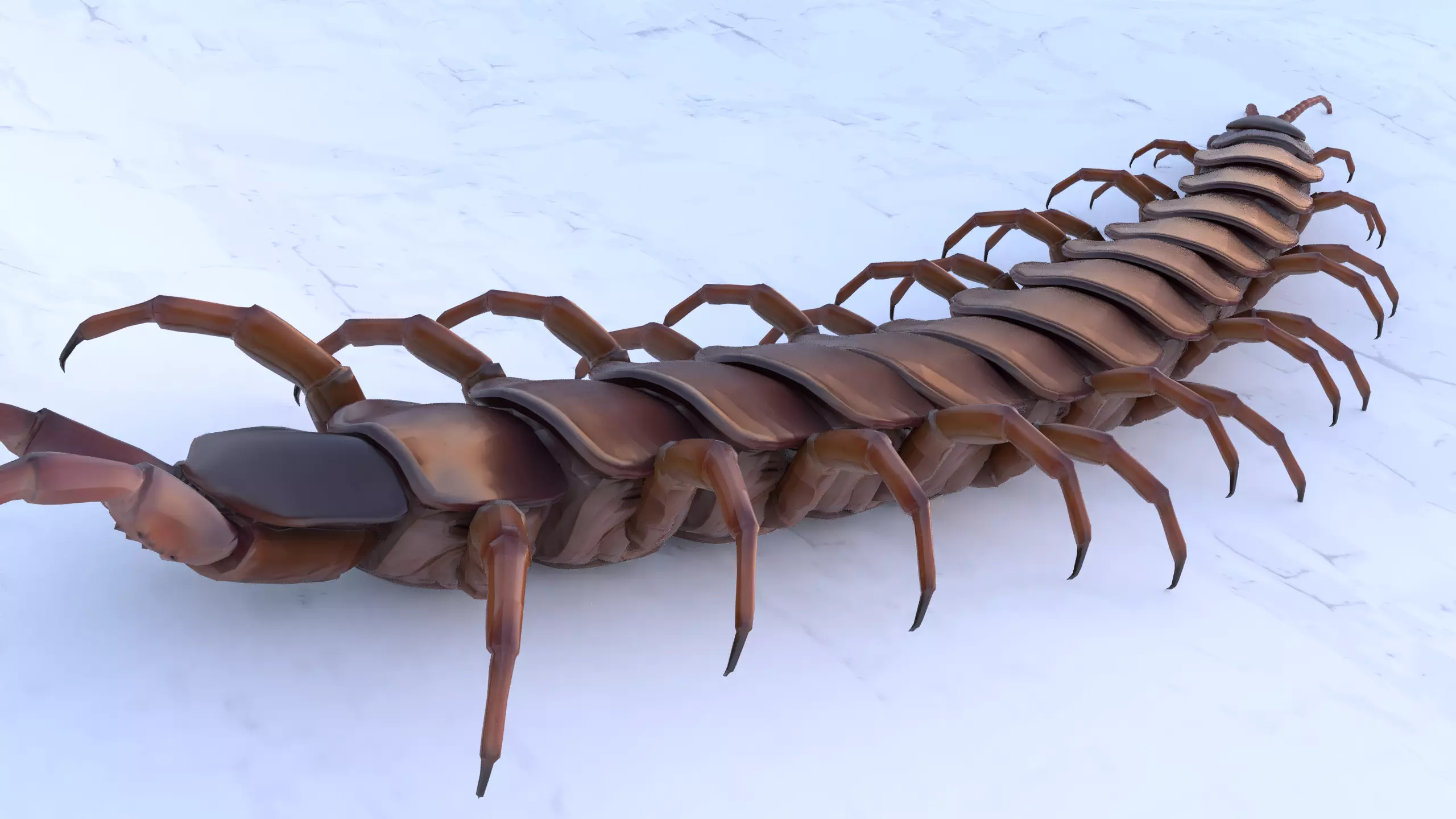 Centipede Rigged animated  Low-poly 3D model_0