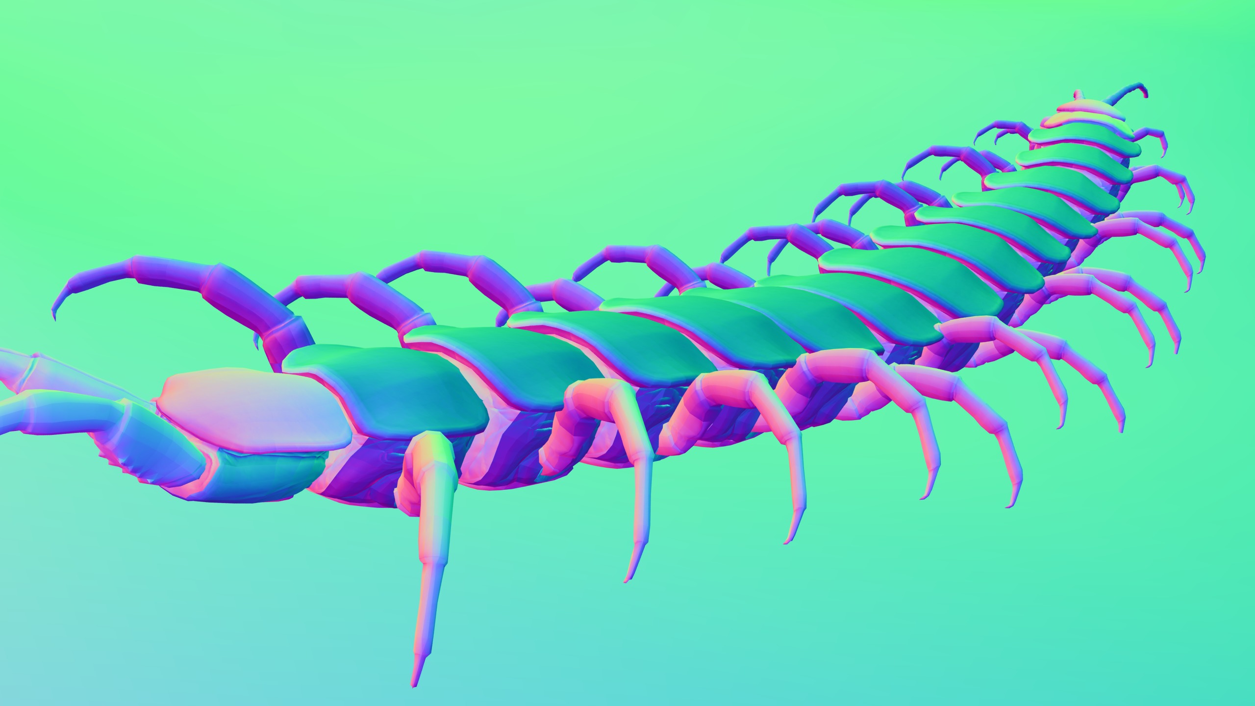 Centipede Rigged animated  Low-poly 3D model_14