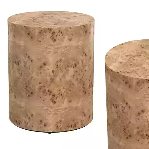 Caya Caramel Burl End Table 3D model