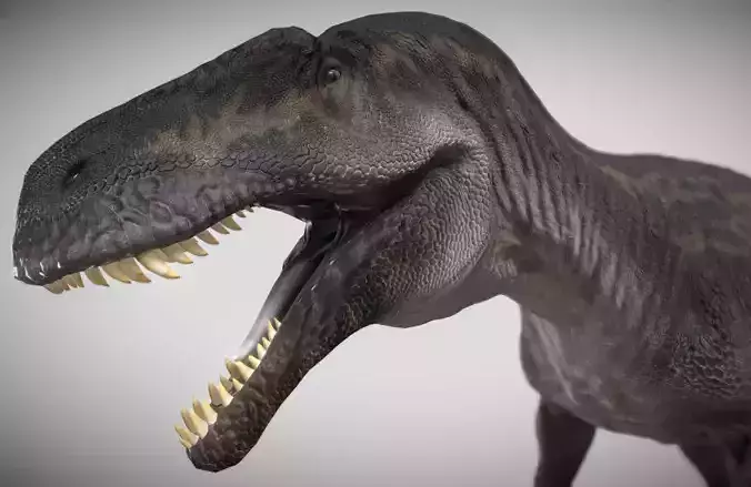 Neovenator a fearsome theropod dinosaur Low-poly 3D model