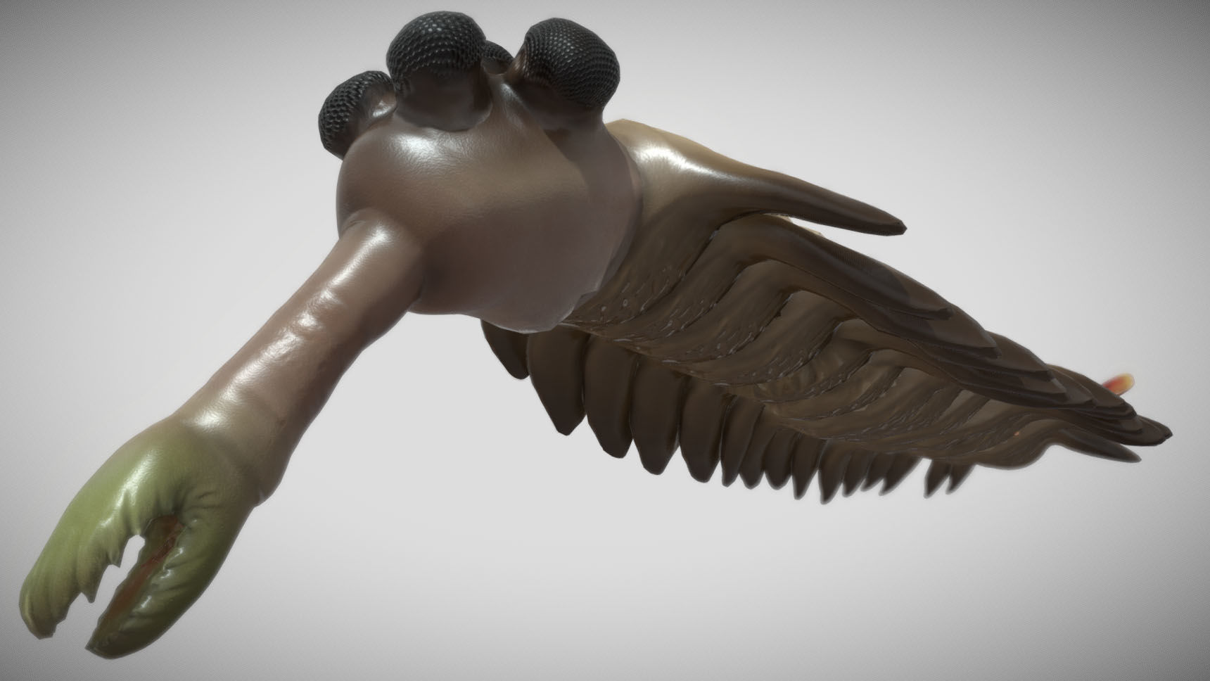 Opabinia Low-poly 3D model_4