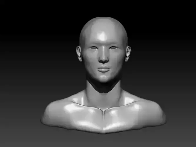 Asian male bust